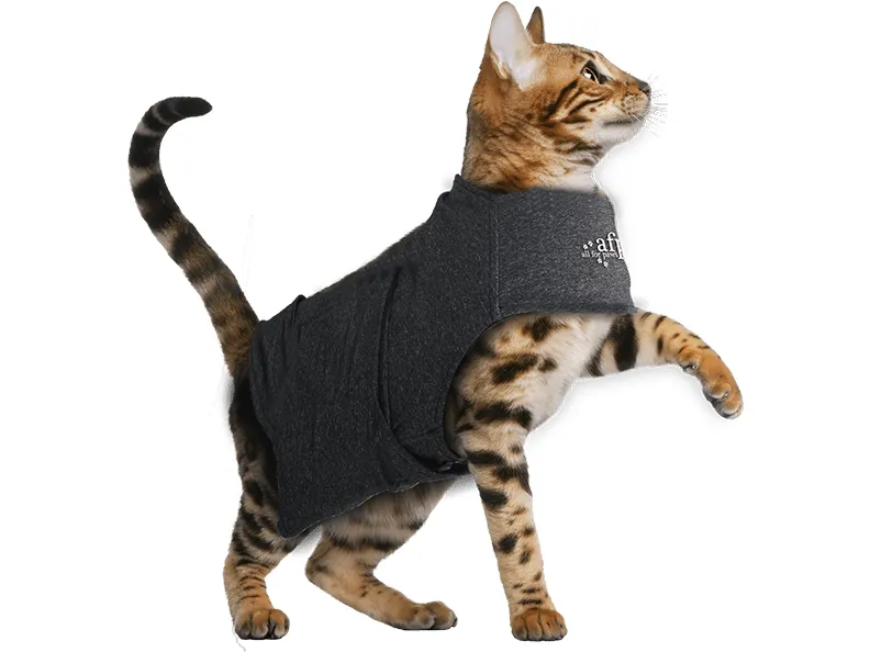 AFP Calming Pals-Cat Anti Anxiety Vest Pets Qatar