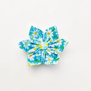 Aqua Daisy Dog & Cat Bow Tie/Collar Flower Charlotte's Pet
