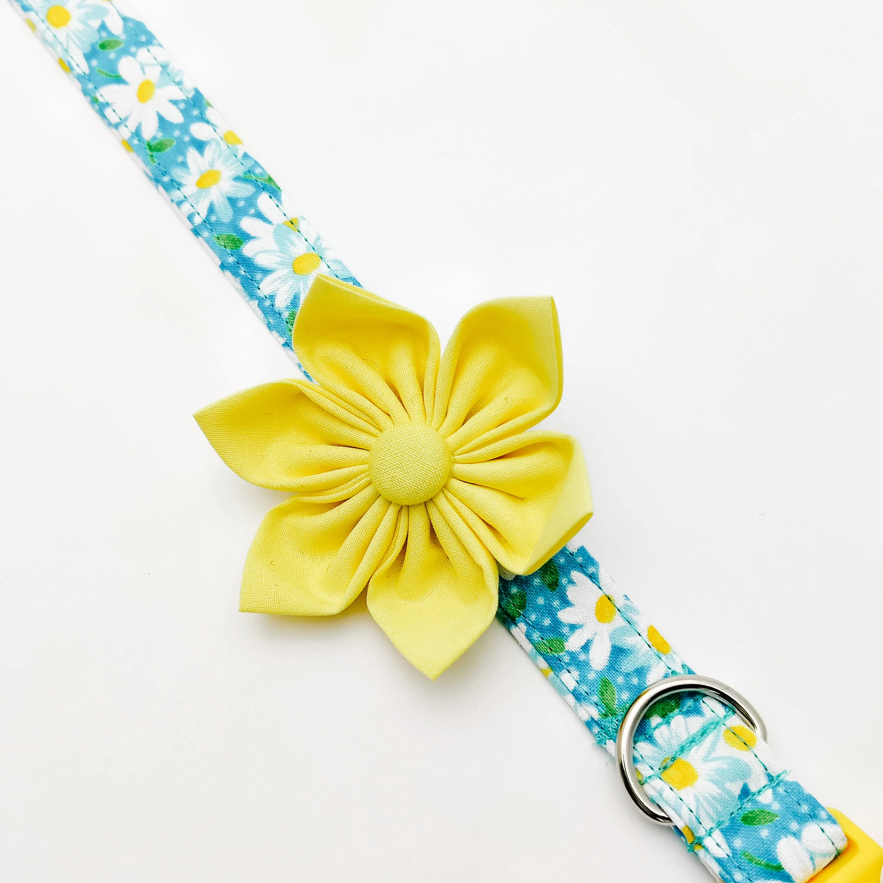 Aqua Daisy Dog Collar/ Cat Collar Charlotte's Pet