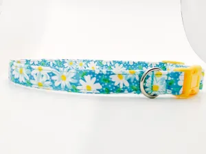 Aqua Daisy Dog Collar/ Cat Collar Charlotte's Pet