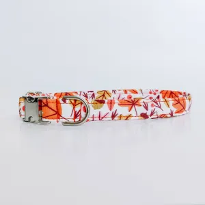 Autumn Leaves Dog Collar/ Cat Collar Charlotte's Pet