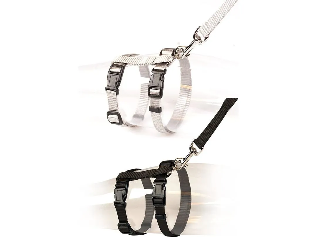 Big Cat Walking Set Uni 30-50Cm / 12Mm - 125Cm Mixed Colors Pets Qatar