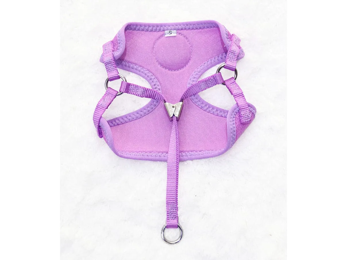 Candy Color Cartoon Bear Nylon Mesh Cat Pull Chest Mix Color Pets Qatar