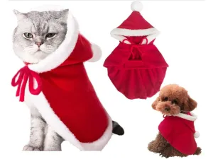 Cat & Dog Dt1837 Pets Qatar