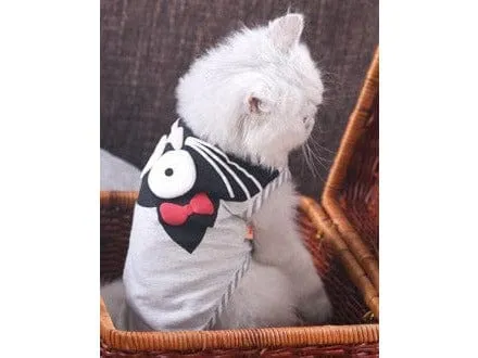 Cat Clothes As Photo Type 15 Pets Qatar