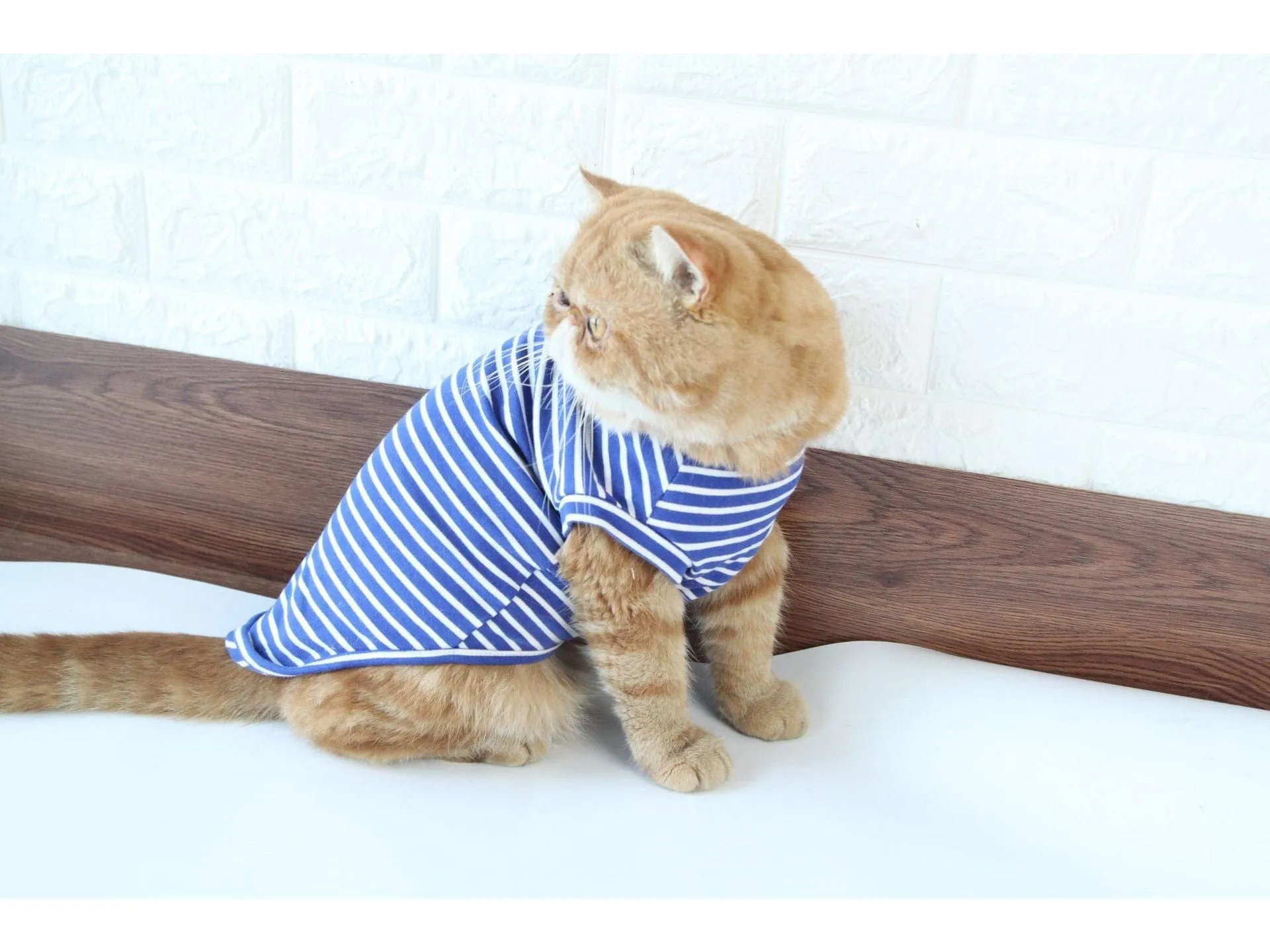 Cat Clothes Type 10 Pets Qatar