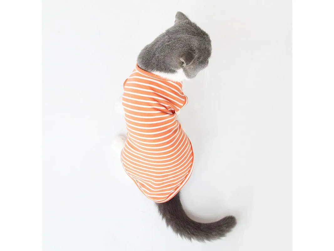 Cat Clothes Type 10 Pets Qatar