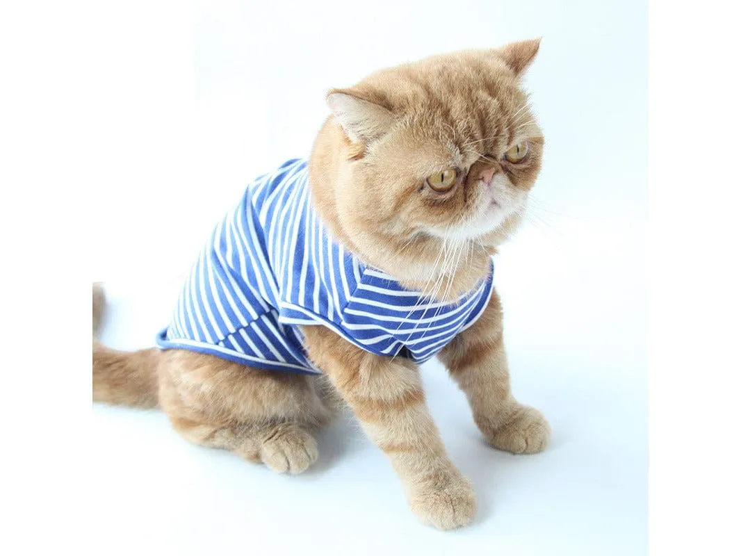 Cat Clothes Type 10 Pets Qatar