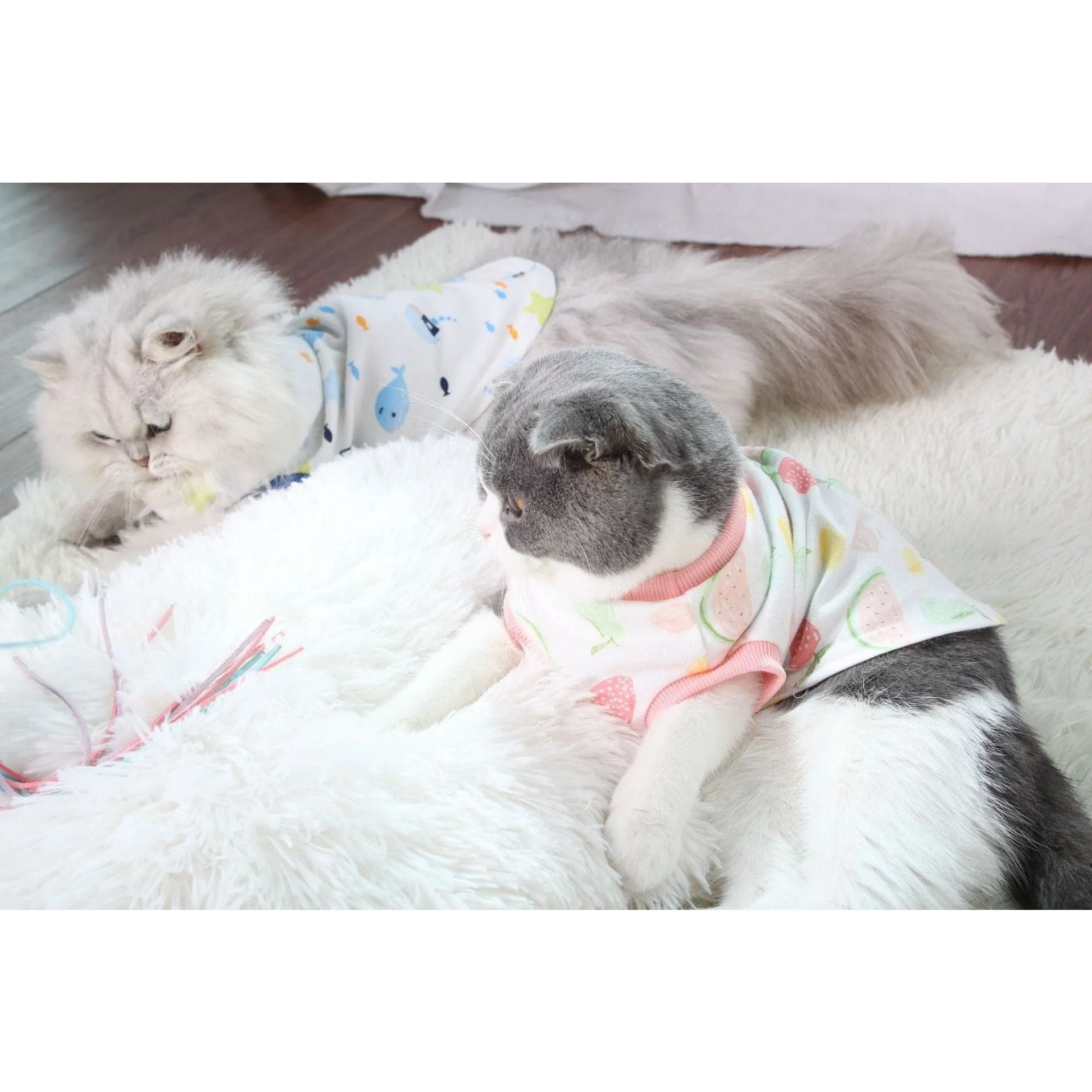 Cat Clothes Type 11 Pets Qatar