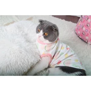 Cat Clothes Type 11 Pets Qatar