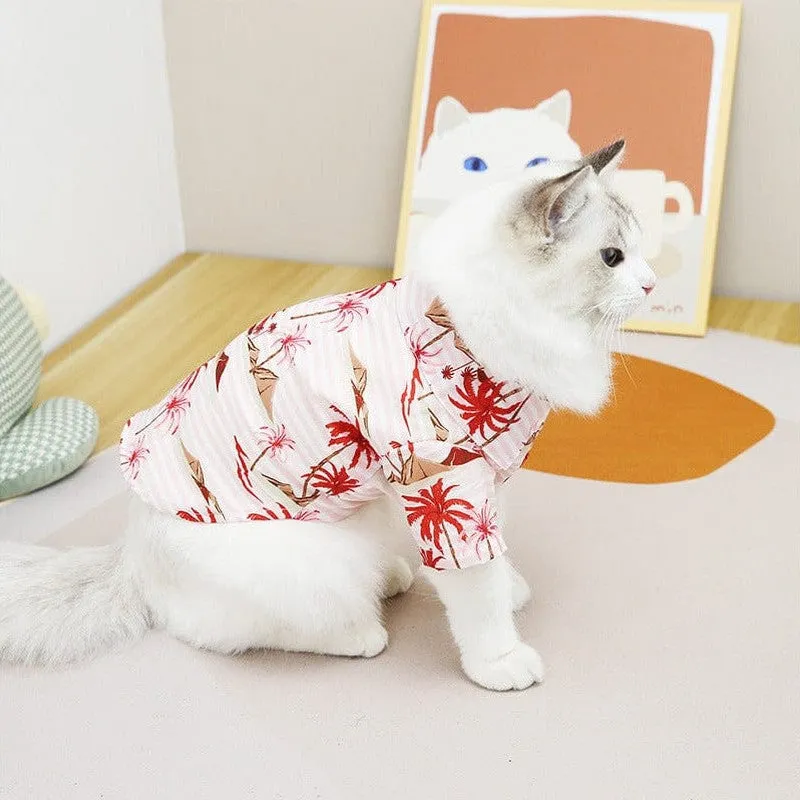 Cat Clothes Type 8 Pets Qatar