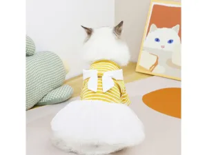 Cat Clothes Yellow Pets Qatar