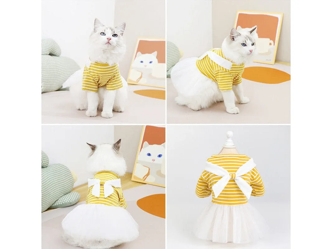 Cat Clothes Yellow Pets Qatar