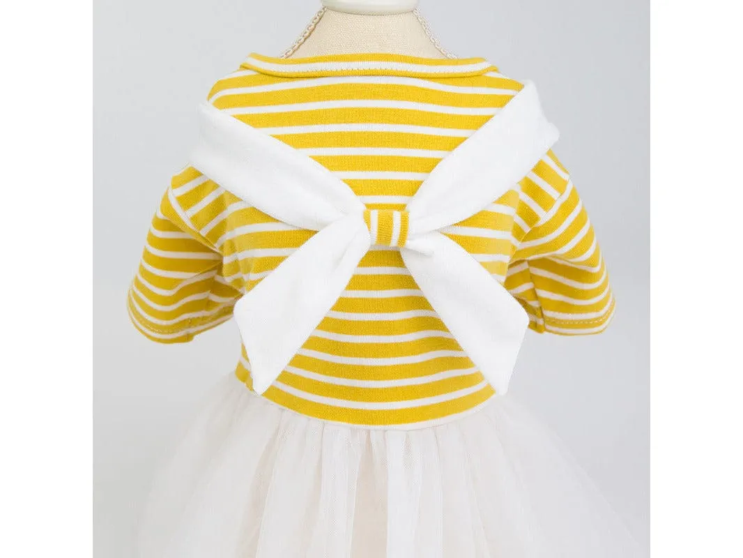 Cat Clothes Yellow Pets Qatar
