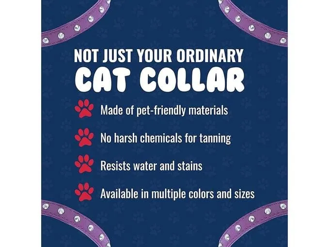 Cat Collar, Cat Face Pattern 10Mmx20-30Cm Pets Qatar