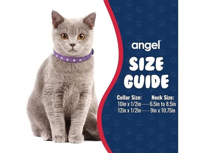 Cat Collar, Cat Face Pattern 10Mmx20-30Cm Pets Qatar