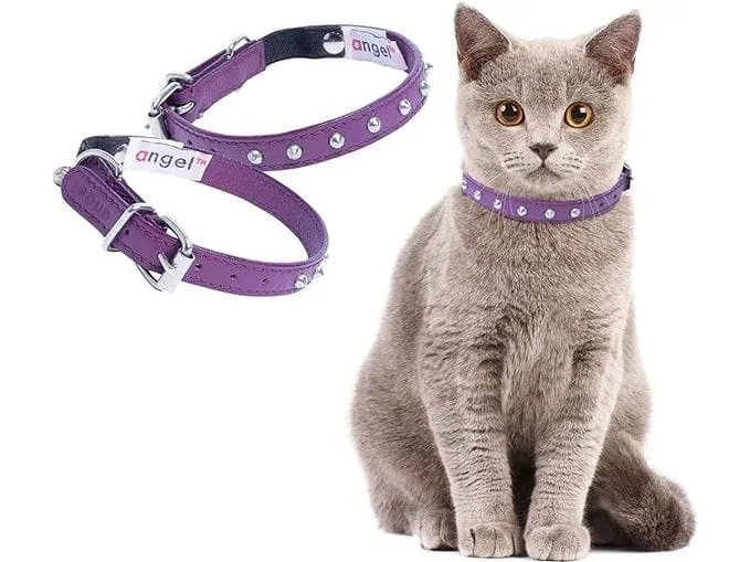 Cat Collar, Cat Face Pattern 10Mmx20-30Cm Pets Qatar