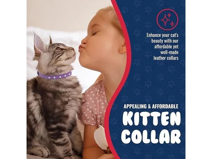 Cat Collar, Cat Face Pattern 10Mmx20-30Cm Pets Qatar
