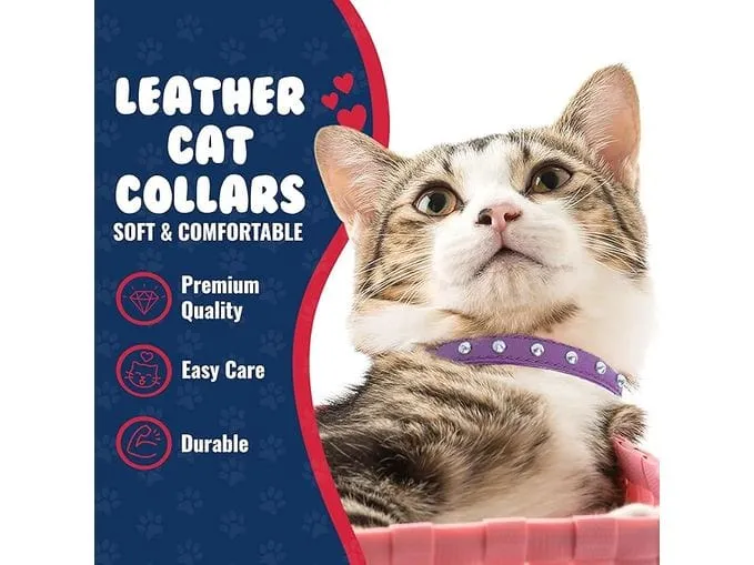 Cat Collar, Cat Face Pattern 10Mmx20-30Cm Pets Qatar