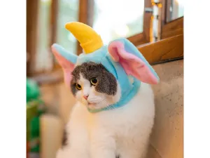Cat Hat Elephant Pets Qatar