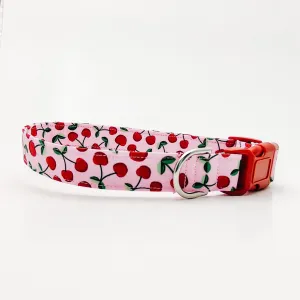 Cherries Dog Collar/ Cat Collar Charlotte's Pet