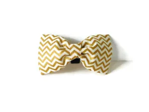 Cream and Gold Bow Tie/Flower Charlotte's Pet