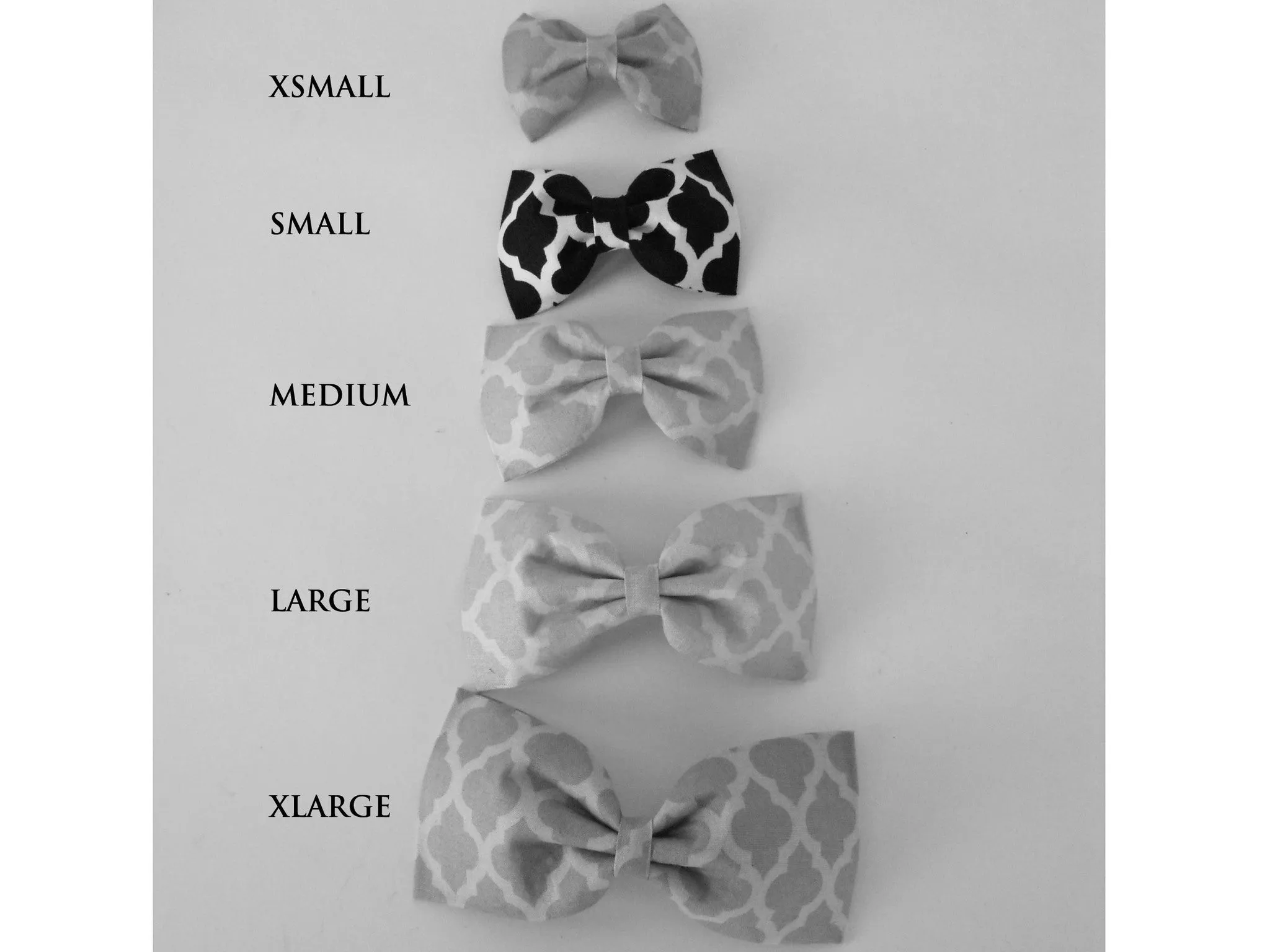 Cream and Gold Bow Tie/Flower Charlotte's Pet