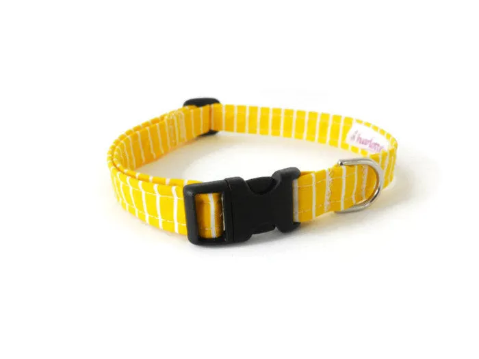 Custom/Matching Collar Charlotte's Pet