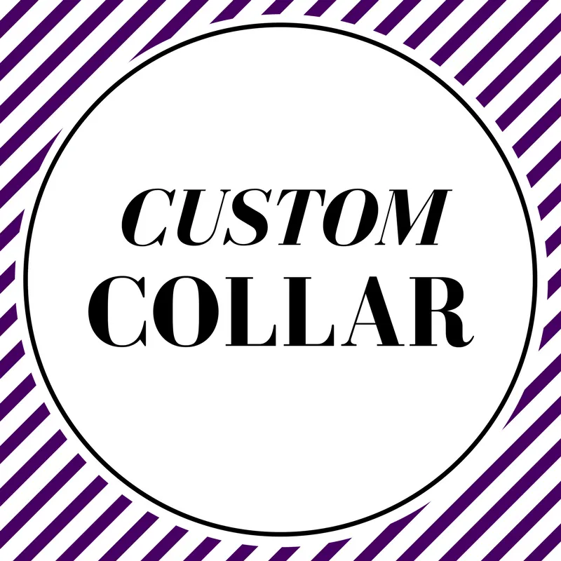 Custom/Matching Collar Charlotte's Pet