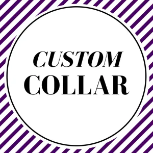 Custom/Matching Collar Charlotte's Pet