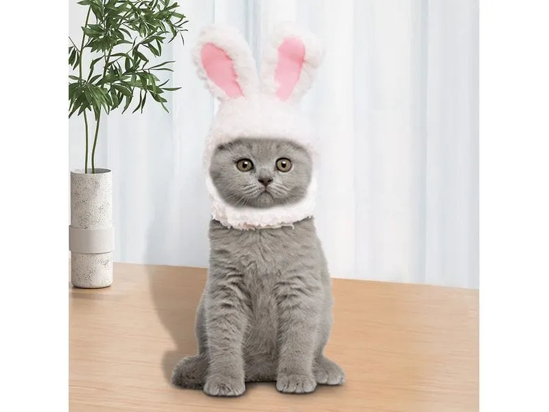 Cute pet rabbit ear hat Pets Qatar