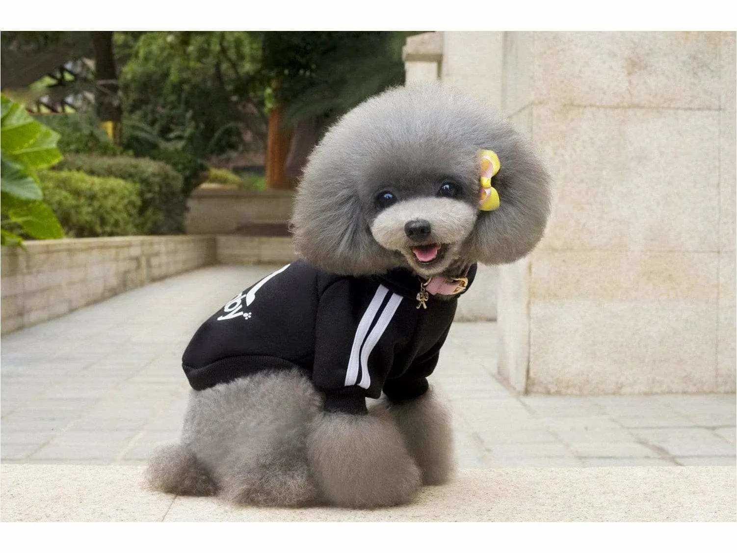 dog clothes Black XS L-83 Pets Qatar