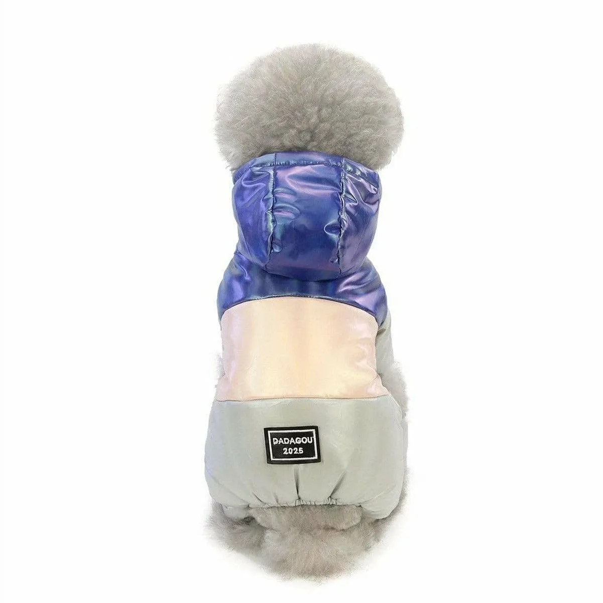 dog clothes Blue L AWYP-6 Pets Qatar