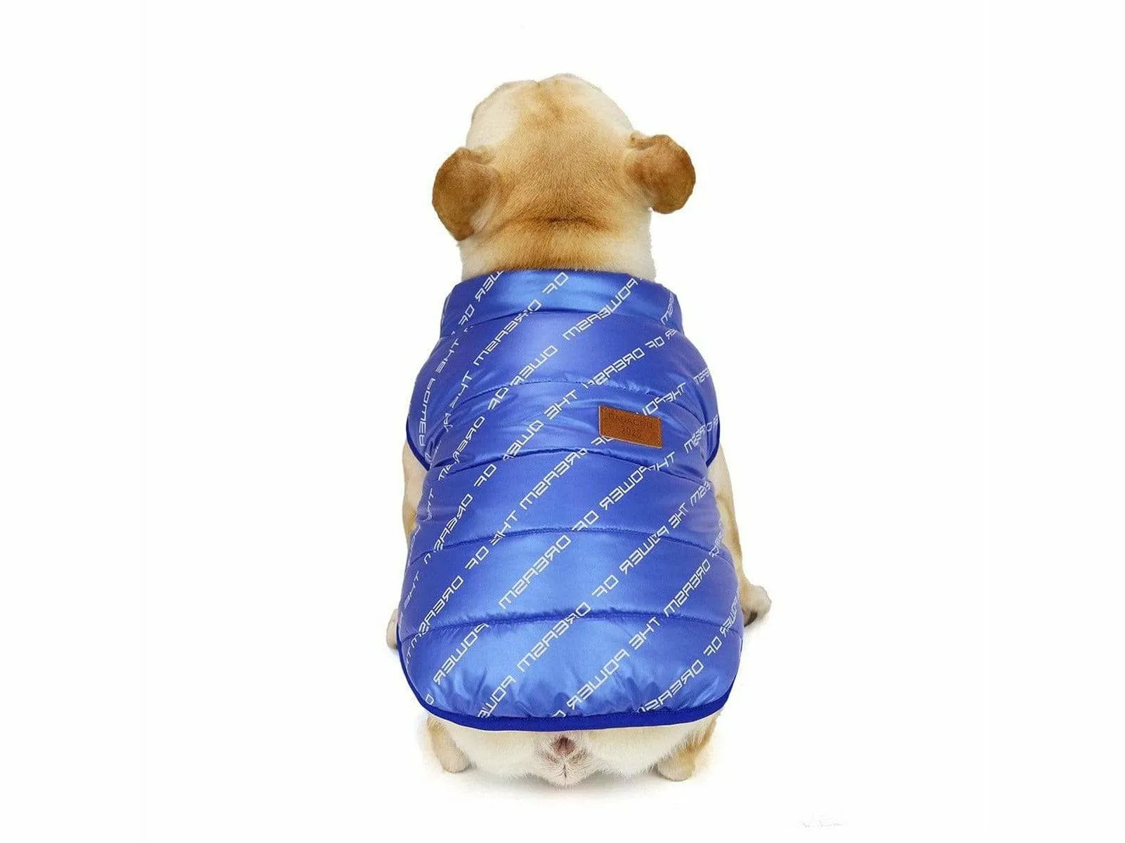 dog clothes Blue  L AWYP-7 Pets Qatar