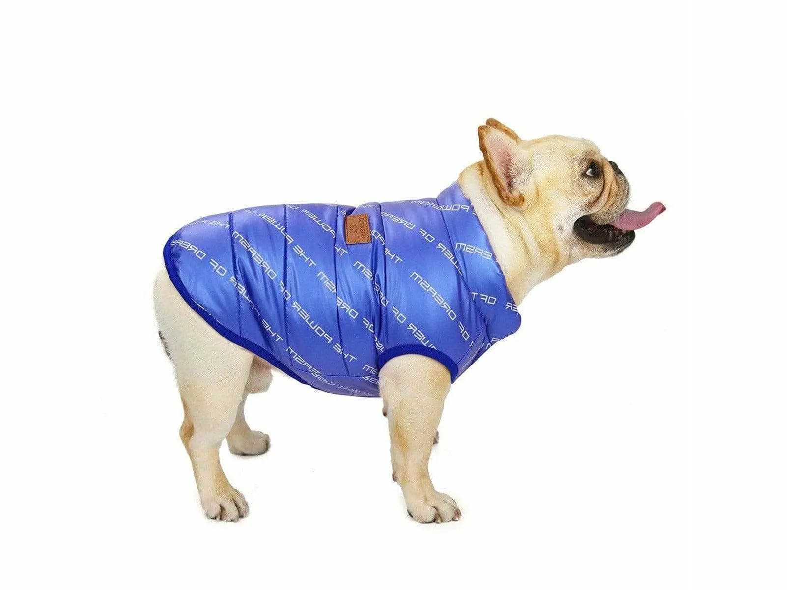 dog clothes Blue  L AWYP-7 Pets Qatar