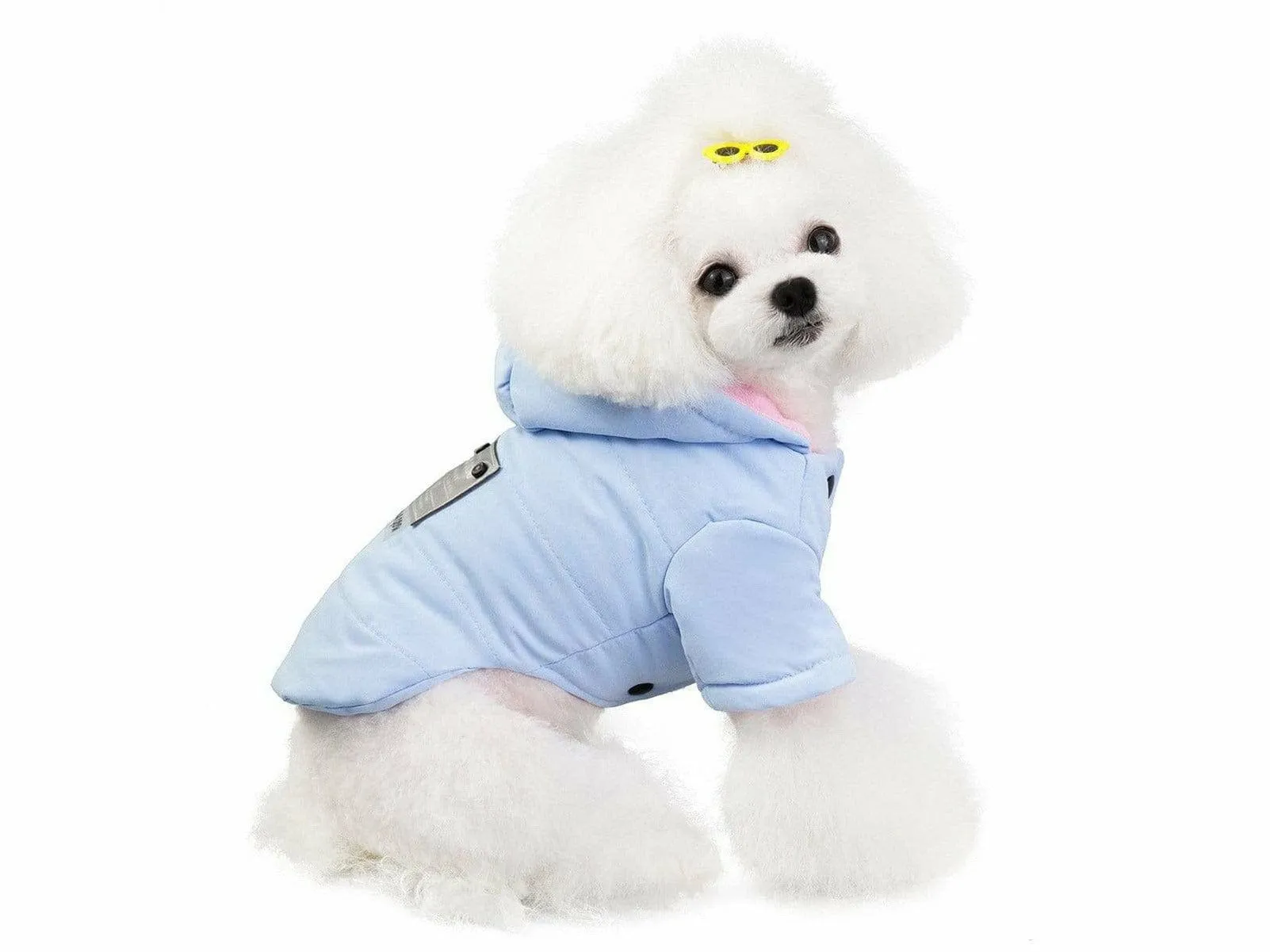 dog clothes blue M 201907026 Pets Qatar