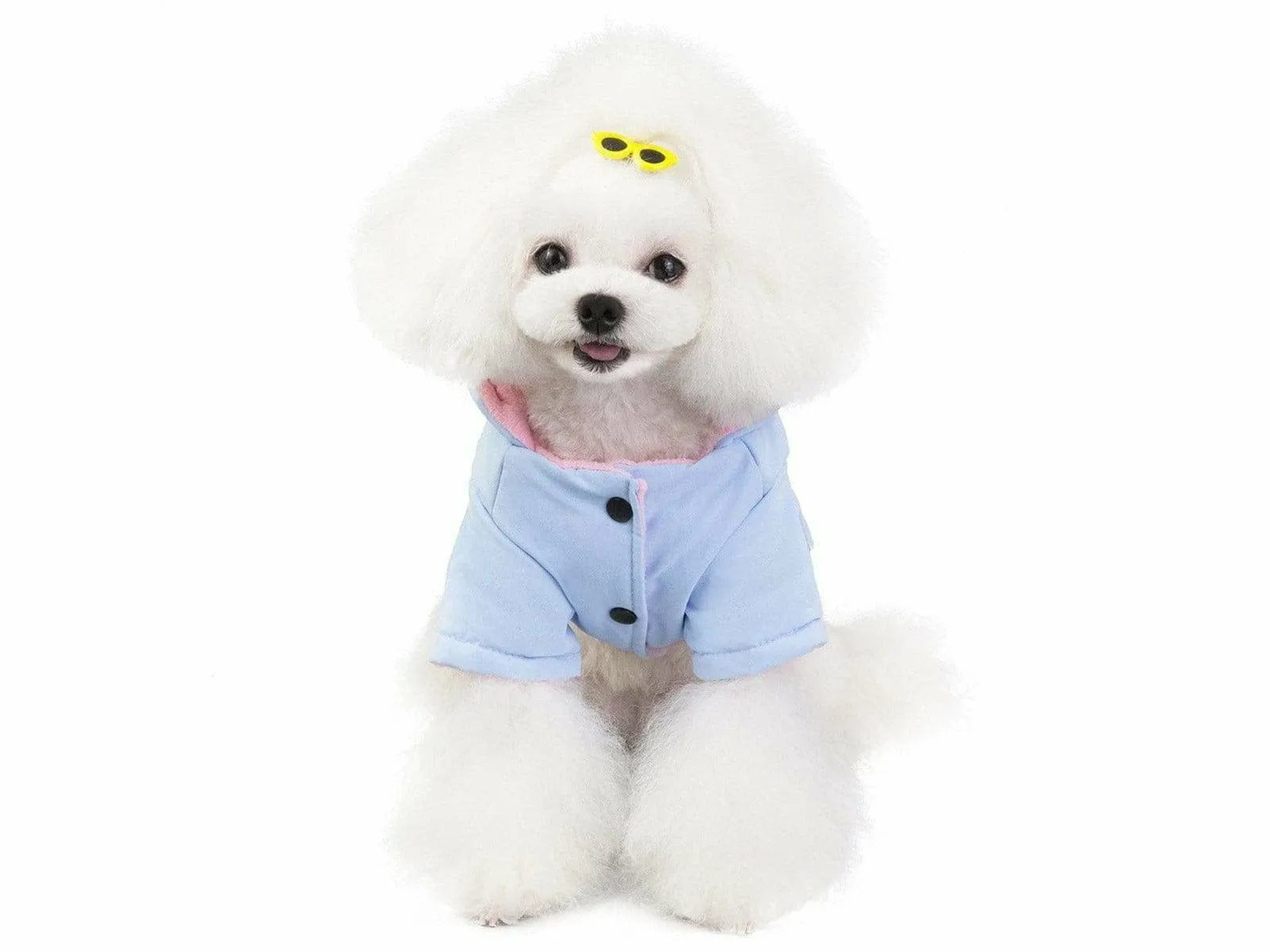 dog clothes blue M 201907026 Pets Qatar