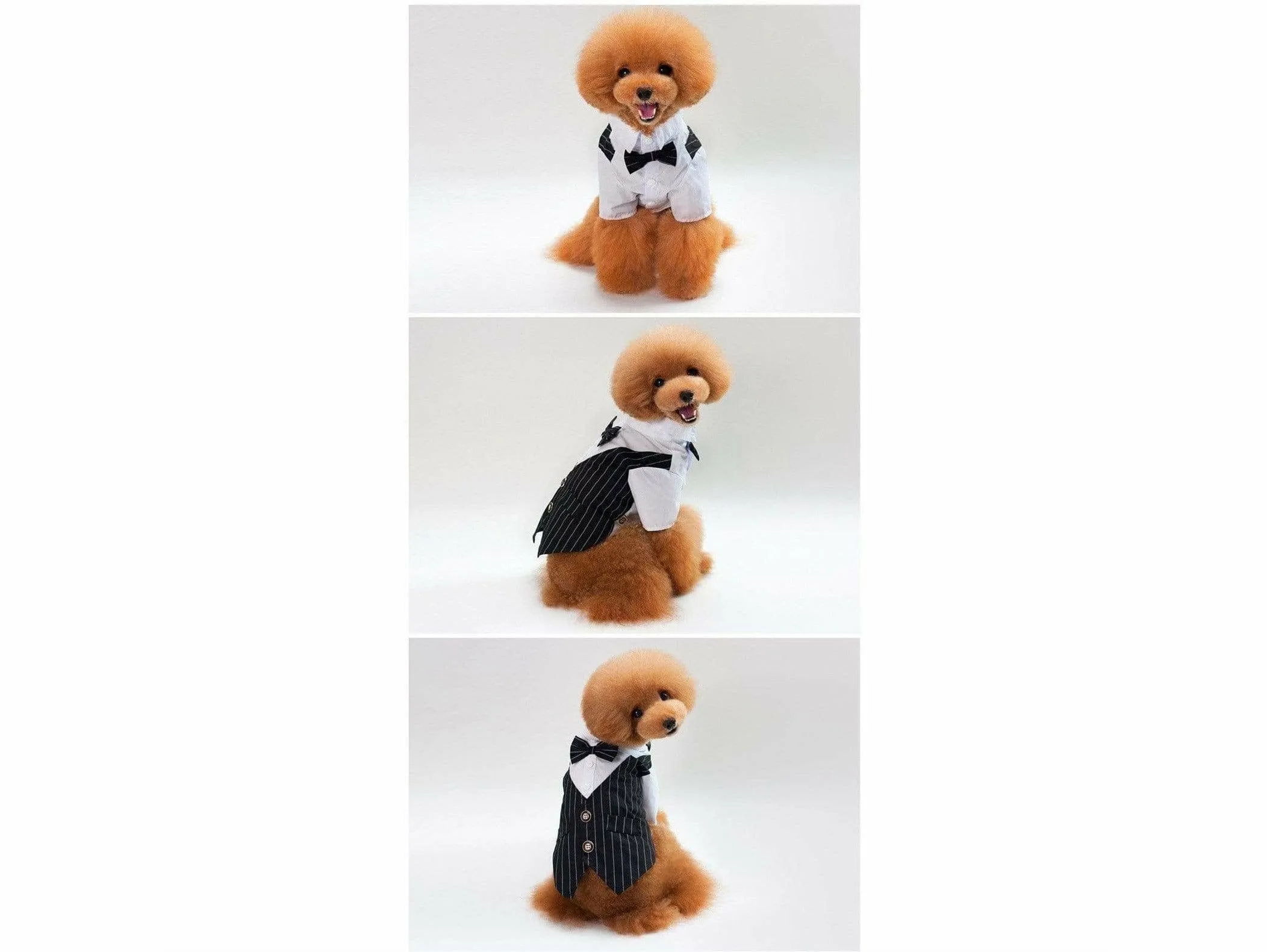 dog clothes Blue M KLN-1704BU Pets Qatar