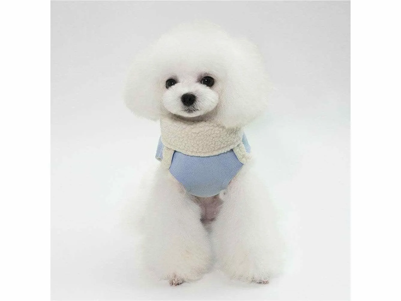 dog clothes blue M YP-201807047 Pets Qatar