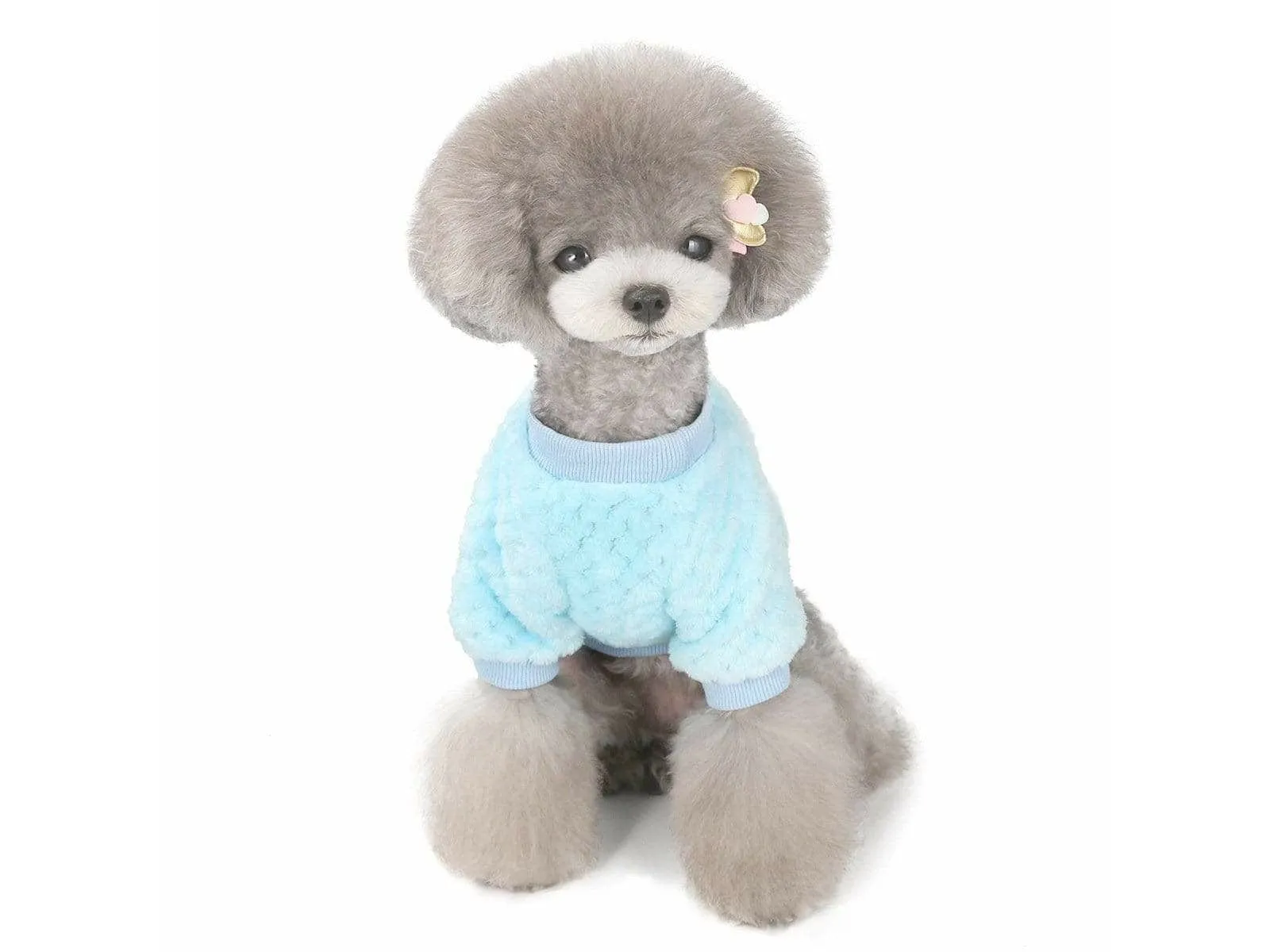 dog clothes Blue S AWYP-202001 Pets Qatar