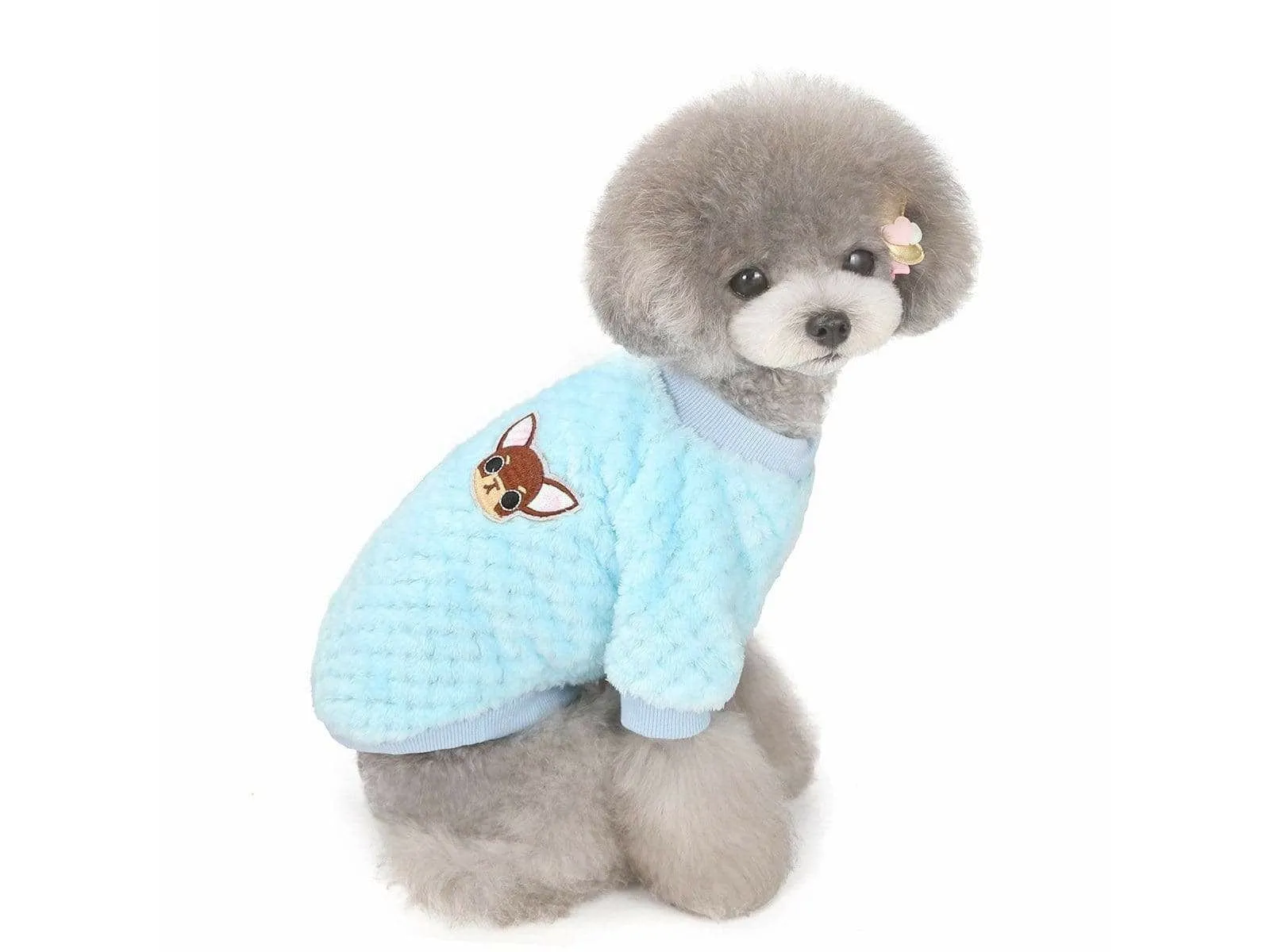 dog clothes Blue S AWYP-202001 Pets Qatar