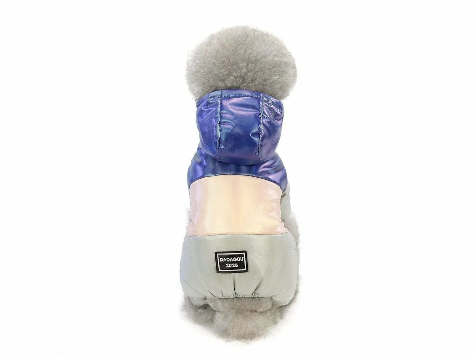 dog clothes Blue S AWYP-6 Pets Qatar