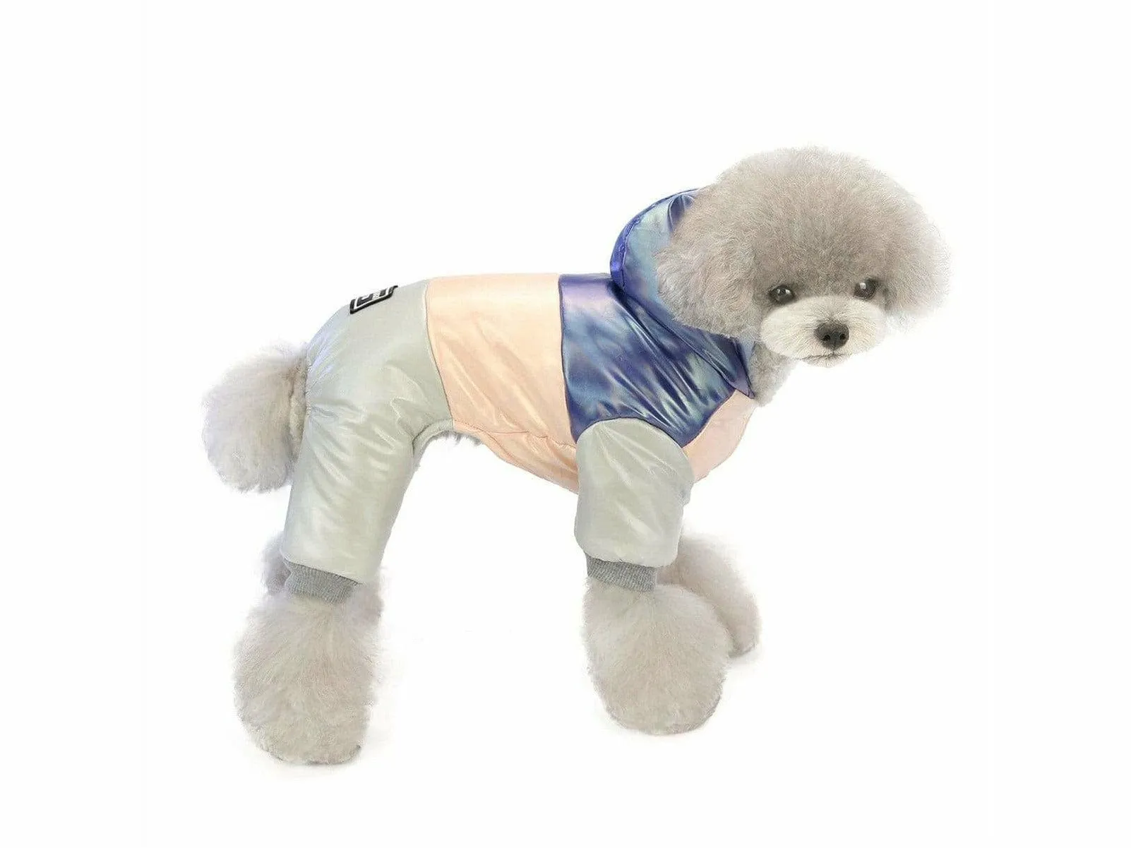 dog clothes Blue S AWYP-6 Pets Qatar