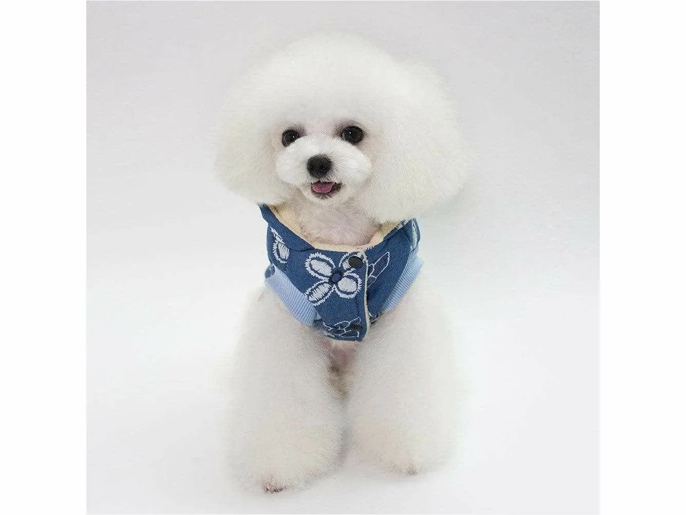 dog clothes Light blue S YP-201807051 Pets Qatar