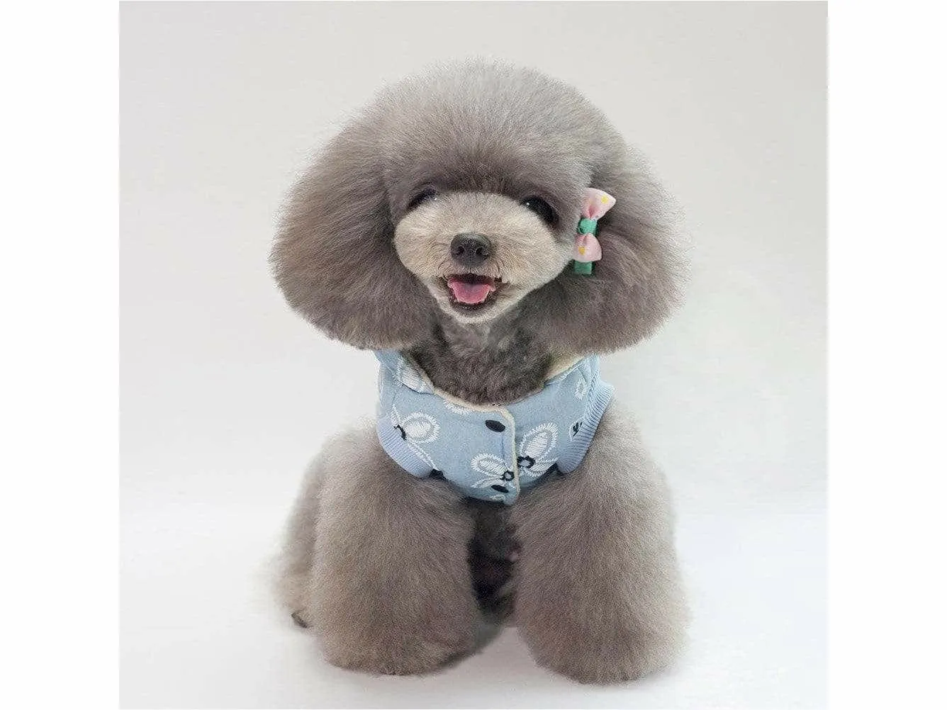 dog clothes Light blue S YP-201807051 Pets Qatar