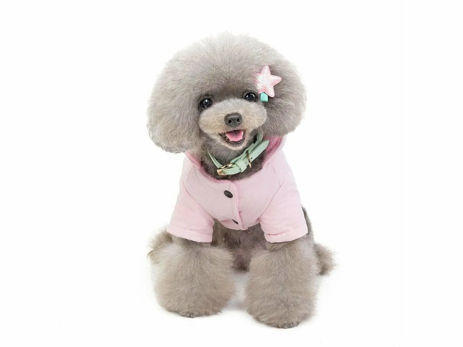 dog clothes Pink M 201907026 Pets Qatar