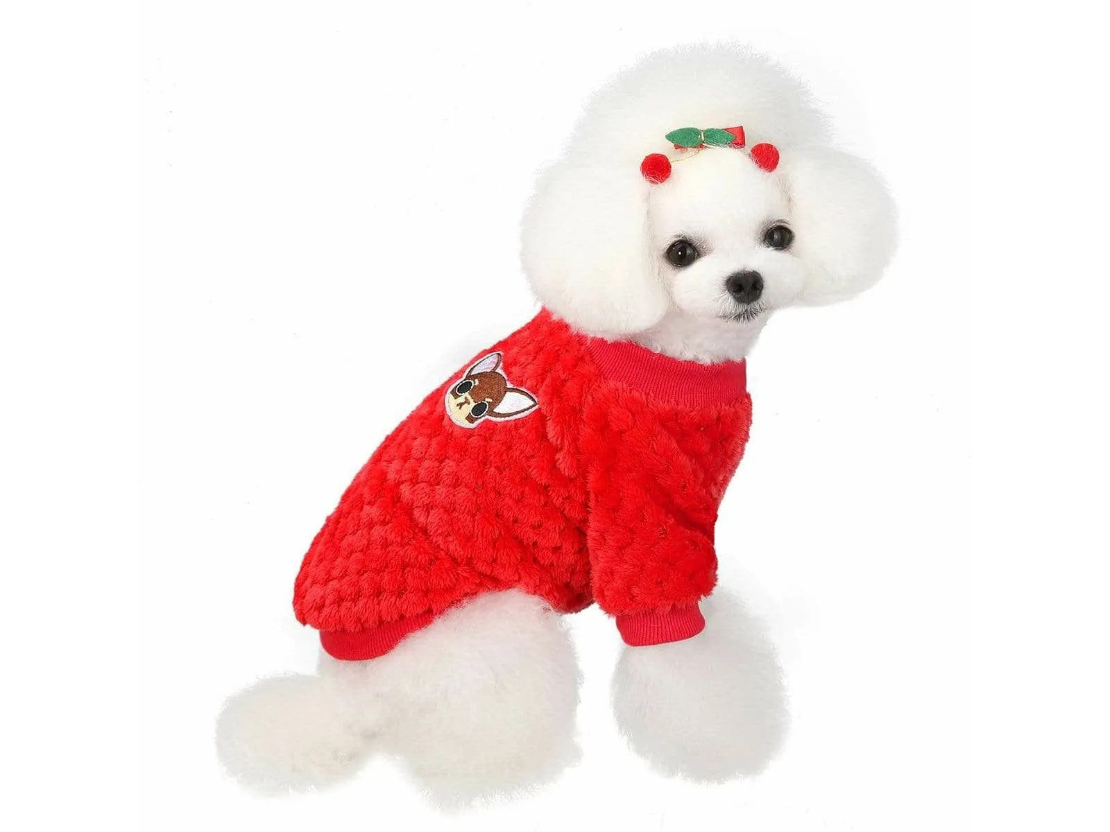 dog clothes Red S AWYP-202001 Pets Qatar