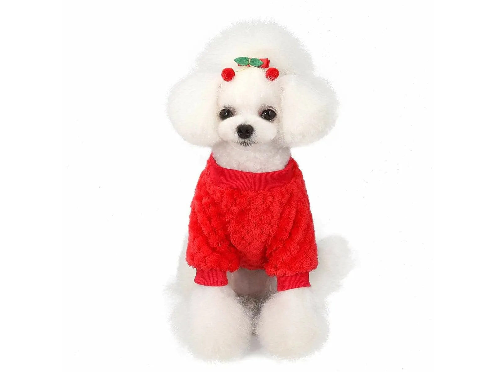 dog clothes Red S AWYP-202001 Pets Qatar