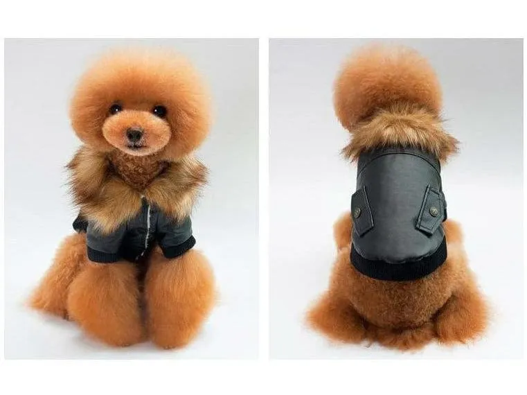 dog clothes Red S KLN-1725WN Pets Qatar