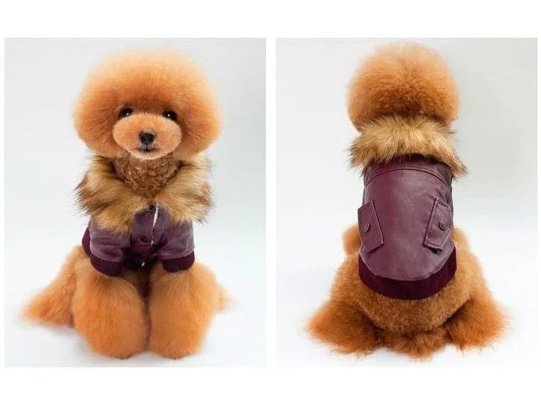 dog clothes Red S KLN-1725WN Pets Qatar